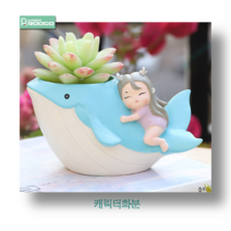루고 캐릭터화분 소녀와동물친구들 고래 미니 다육이화분