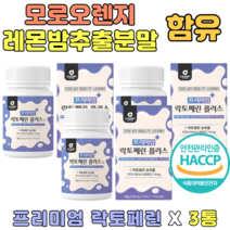 락토페린 엘라스틴 비타민 치커리 히알루론산 프로이바이오틱스 가성비 제품 추천 락토바실러스 수험생