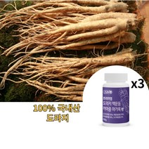 도라지환 맥문동환 마가목환 프리미엄 100g x 3개, 6개