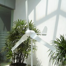 풍력 발전 발전기 작은 가정 바람 터빈 농장에 대 한 높은 컨트롤러와 1000W 12V 24V 48V, [03] 48V, [01] 3 블레이드, [01] with controller