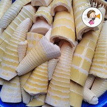 전남 담양 맹종죽순 삶은 죽순 1kg 직접채취 작업 2024년 햇제품, 1개