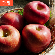 경북 청송 안동 미얀마 미야비 가정용 못난이 특등급 부사 5KG 1박스, 거의정품(가정용), 5kg 중 (14-18과내외)