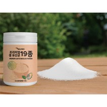 프로바이오생유산균 락토바실러스플란타럼 비피더스균 온가족생유산균 150g