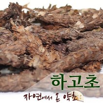 하고초 중국산 300g