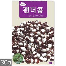 얼룩이 강낭콩 씨앗 70립 - 씨 강낭콩씨 강낭콩씨앗 콩씨 콩씨앗 강남콩씨앗 주말농장 텃밭, 20_팬더콩(30g)