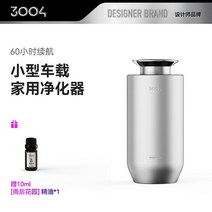 기 3004 차량용 공기청정기 신차 냄새 포름알데히드 스프레이 디퓨저, 01 베이직◆차시작◆알데히드 제거