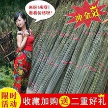 작은 대나무 장대 야채 오르기 등나무 장대 장대 랙 심기 채소밭 설치 콩 뿔 울타리 울타리 포대기 얇은 대나무 안뜰, 커스텀 샷