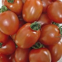 빨강 가락시장 3kg 대추방울토마토, 빨강 대추방울 3kg, 황금 대추방울 3kg, 상세페이지 참조