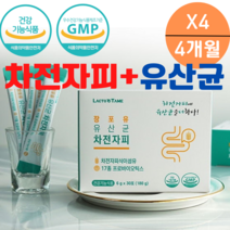 차전자피 프로 프리 바이오틱스 다이어트 식이섬유 약국 쾌변 장청소 약 숙변제거 장 가스제거 유산균 난소화성 말토덱스크린 화이바솔2 분말 수용성 식이섬유 영양제 스틱 섬유질, 30포X4박스