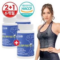 FHLAB 류신 아르기닌 마카 단백질 보충제 효능 프리미엄정 2+1행사 6개월분, 2통+1통무료증정 (50%할인/6개월분)