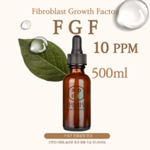 에코문 FGF10ppm 500ml /나노 이지에프 앰플 원액 에센스 리포좀 펩타이드 원료, 1개