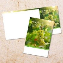 교회주보 예배 주보용지 3단6면 주보지 안내지 전도지 절기 부활절 추수감사 맥추감사 성탄절 신년감사 디자인 기독교용품, EW-08