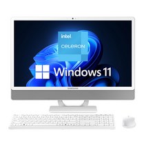 삼성전자 올인원PC DM530ADA-L15A (RAM 8GB NVMe 256GB+SSD 256GB 셀러론-6305 60.5cm WIN11PRO), L15AH+8GB+256GB+SSD256GB