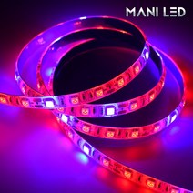 고휘도 식물성장등 LED 5M롤 12V 방수 전구 조명 램프 생장 재배 난초 다육 과채류, 식물성장 LED바 방수 02번_4:1(레드4:블루1), 1개