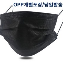 일회용 마스크 위생마스크 - 검정 10매(당일발송)개별포장, 10매입