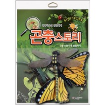 곤충스토리 : 곤충 모형/곤충 탐험하기, 예지원