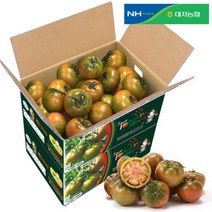 농협 [2022년 햇] 대저 대저토마토(M) 2kg+2kg/총 4kg, 1