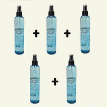 뚜라비 엔파스 파워 세팅미스트 250ml(강력스프레이) 원액 액상 Spary 서울화장품-5개 구성, 250ml