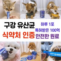 강아지 고양이 반려견 노견 유산균 영양식 영양제 입냄새 변비 장건강 치석 프로바이오틱스 플라크 플라그 설사 면역 입속 인증 치아변색 스케일링 노령견 특허 프리바이오틱스 신바이오틱스, 30포