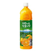 롯데 제주사랑 감귤사랑 1.5L 6입[제주감귤]