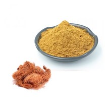 옥수수수염추출분말 100g 샘플, 단품, 단품