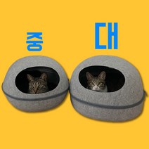 [바잇미팝콘숨숨집] 바잇미 데일리냥치 반려동물 효소 치약 (고양이/강아지 겸용), 효소치약