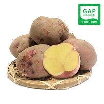 속노란 하동 자색유황감자 (왕특) 1.8kg 외 / 홍감자 2022년 가을수확 감자, 1박스, (왕특) 4.7kg