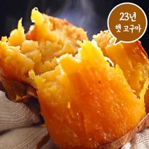 21년 소리팜 해남 호박고구마 10kg (대)