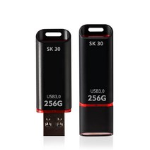 withSKm&service SK30 초고속 뚜껑형 USB3.0메모리 8GB~256GB [레이저각인 무료], 256GB