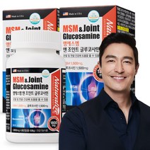 미국직수입 MSM 글루코사민 엠에스엠 무릎 관절 연골 2박스120정