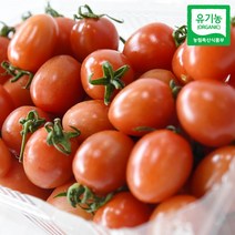 친환경팔도 [산지직송] 충주 유기농 방울토마토 2kg, 단품