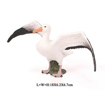 2023토끼 시뮬레이션 조류 모델 터키 플라밍고 앵무새 올빼미 바다 독수리 타조 PVC 액션 피규어 인형 장난감, [24] Seagull