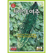 자이언트 여주씨앗 10립, 1개
