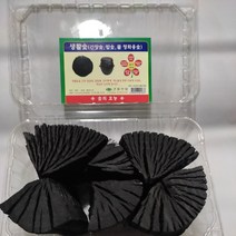 숯 공기정화숯 간장 탈취 생활 참숯, 1개