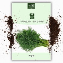 씨앗팜 딜씨앗(400립) 허브 종자