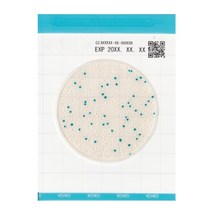 이지플레이트 대장균 EC 건조배지 필름메디아