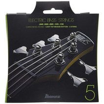 아이바네즈 Ibanez 5 베이스 기타 스트링-라이트 탑 미디엄 하단 실버 (IEBS5C)