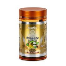 메가맥스 프로폴리스 2600mg 200정