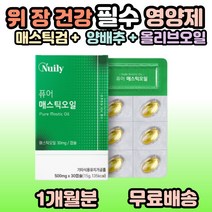 40대 50대 60대 70대 중년 노년 여성 남성 부모님 온가족 선물 추천 어르신 노인 그리스산 매스틱 오일 장건강 위건강 엔 매스틱 메스틱 메스틱검 매스틱검 숙취 속편한, 1개, 30캡슐(1개월분)