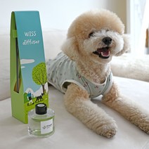 위스펫 반려동물 강아지 고양이 천연 아로마 디퓨저 선물 실내방향제 120ml 단품, 썸머 홀리데이