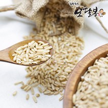 힘찬농부오달봉 2022년 수입 귀리 귀리쌀 오트밀 통귀리, 1포, 500g