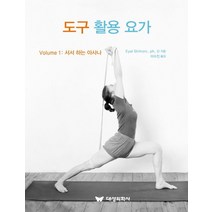 도구 활용 요가 1: 서서 하는 아사나, 대성의학사, Eyal Shifroni, ph. D 저/이수진 역