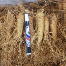 금산인삼 5년근 6년근 원수삼 믹사 500g 10뿌리 내외 홍삼용 꿀절임용 인삼주용, 일반, 1개