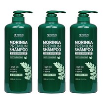 댕기머리 모링가 대용량 프리미엄 한방샴푸 1 000ml (강력한 세정력으로 기름진 두피를 산뜻하고 깨끗하게 세정해 주는 프리미엄 샴푸), 1000ml, 3개