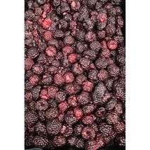 국산 복분자 급냉 1kg 유기농 생과 토종복분자 햇 슈퍼 복분자 냉동생과 친환경 샐러드 즙