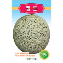 조생 풋호박 씨앗 30립 - 호박씨앗 조선호박 야채씨앗 채소씨앗 채소재배 종묘 종자 베란다 텃밭 씨 씨앗 오이 호박 방울토마토 수박 참, 21_다농_멜론(10립)