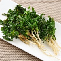 국내산 햇 노지 냉이 세척 500g 1kg