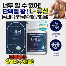 류신타블렛 류신캡슐 근육생성영양제 근육합성에 도움을 주는 단백질 보조제 분리유청단백질 WPC WPH 바디프로필 보디빌더 대회입문용 몸만들기 단백질보충제 벌크업 체력향상 효과 추천, 4상자(6개월)