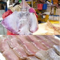 [인천산지직송] 국내산 대청도 홍어 200g x 2 개 중간삭힘, 400gx2(800g), 2개