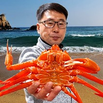 속초& 후포 일반형 홍게 3kg(7~11미) 가성비 갑 / 고급형_프리미엄형_박달형_연지홍게 선택가능 붉은대게 대게, 01. 생물 일반형 3kg(다리살위주섭취)